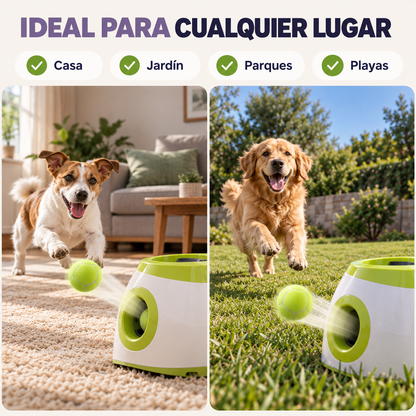 Lanzador de pelotas y premios PetPlay™